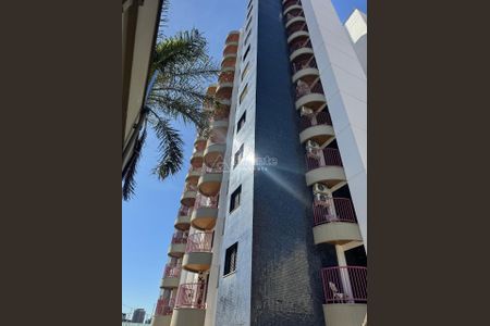 11_photo/94c8c61feb.517f094d7073ae4e-ATLAS-812f6cdc-10ee-4e69-8abd-678dcfb349c7.jpg de apartamento para alugar com 3 quartos, 90m² em Bonfim, Campinas