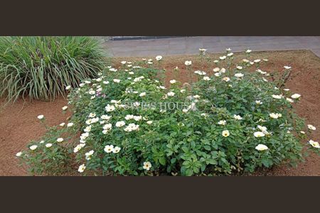 21_photo/94c8c63d4d.f551befa4d600591-ATLAS-6b9508a8-138e-48fb-90fc-67c335549635.jpg de casa para alugar com 3 quartos, 250m² em Jardim Chapadão, Campinas