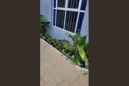 10_photo/94c8c68dcf.3e1b4b7d4b39a1bc-ATLAS-d6ff88a3-19e8-46b9-b698-a66faf0e770c.jpg de casa à venda com 4 quartos, 366m² em Jardim Santa Genebra, Campinas