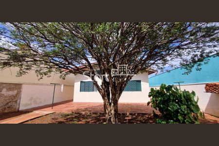 89_photo/94c8c68ec5.a83e5fc6c0537e07-ATLAS-6a584fc9-5a89-442e-81ed-aed14ba0a95c.jpg de casa para alugar com 3 quartos, 140m² em Jardim Santa Genebra, Campinas