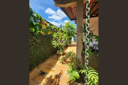 19_photo/94c8c6b559.6c1b983702f44e6d-ATLAS-01f175db-5078-457b-be32-3496cfd69f8b.jpg de casa à venda com 4 quartos, 322m² em Cidade Universitária, Campinas