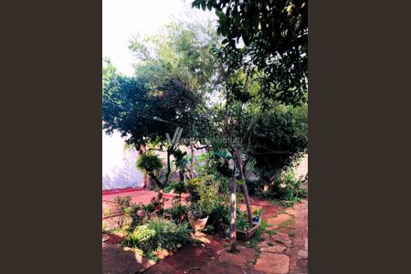 19_photo/94c8c6d35b.859d3ea7f11d789b-ATLAS-939dc339-7942-4a2a-9e41-2ae9fe64ca5c.jpg de casa à venda com 3 quartos, 149m² em Jardim America, Campinas