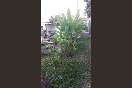 8_photo/94c8c72c8b.de7f1e39899531ac-ATLAS-f912a64b-4a7e-4d8d-bc6c-2fed5c7d7e70.jpg de casa para alugar com 2 quartos, 55m² em Bosque de Barão Geraldo, Campinas