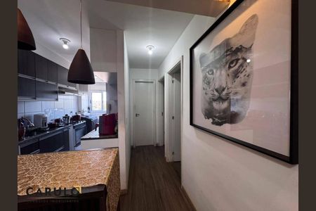 10_photo/94c8c74f89.954021e7079e7ecc-ATLAS-e806527b-cdaf-405f-a1f3-5130138e7a84.jpg de apartamento à venda com 2 quartos, 46m² em Recanto Fortuna, Campinas