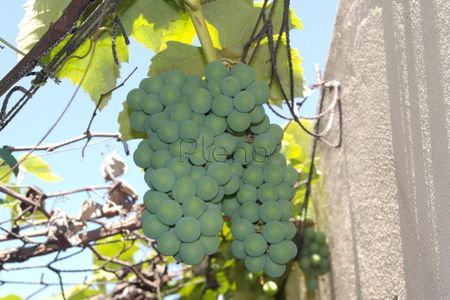 9_photo/94c8c7cd1f.04a823dc9d4d949a-ATLAS-4e9fda0a-850d-4a98-bfec-1dcc7c8bbc18.jpg de casa à venda com 4 quartos, 293m² em Jardim Chapadão, Campinas