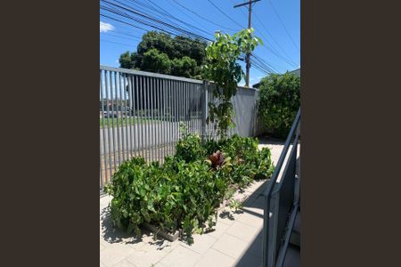 1_photo/94c8c7d255.e182d30f96765f76-ATLAS-254c8b60-558e-46a5-b7ab-0b52693f8c8b.jpg de casa para alugar com 3 quartos, 300m² em Jardim Eulina, Campinas