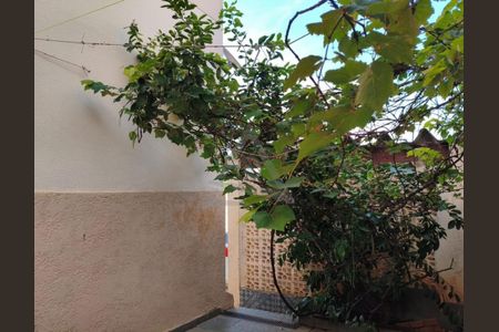 2_photo/94c8c7d4e1.0d38d50b15ed540b-ATLAS-84d305f0-bd29-4954-9ca7-dc67059e527c.jpg de casa para alugar com 4 quartos, 214m² em Jardim Magnólia, Campinas