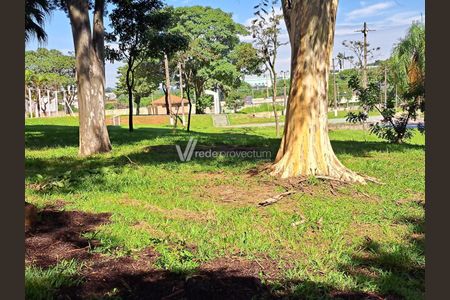 9_photo/94c8c7d60d.3714cccd63f8fe2d-ATLAS-8d6348e7-b9a1-45df-9dc1-eb4aa20566a3.jpg de apartamento para alugar com 3 quartos, 78m² em Jardim Pacaembu, Campinas