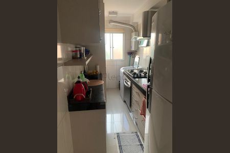 7_photo/94c8c814cd.d83ba18c48a1246b-ATLAS-22008b5f-e73c-4547-b7c5-8caf3bb82428.jpg de apartamento para alugar com 3 quartos, 58m² em Jardim Ipaussurama, Campinas