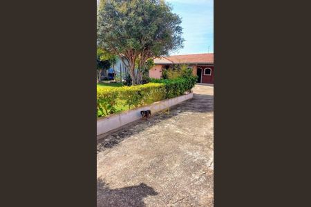 6_photo/94c8c851af.0cdfc655eea420fa-ATLAS-938ed37f-b7dc-4ec9-bb72-f33fe884c799.jpg de casa à venda com 2 quartos, 160m² em Jardim Novo Campos Eliseos, Campinas