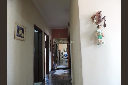 11_photo/94c8c855ad.3a9dc93bc25fc63d-ATLAS-8e0cca22-9748-4bc5-8e4e-cfb15aff388c.jpg de casa à venda com 4 quartos, 257m² em Jardim Novo Campos Eliseos, Campinas