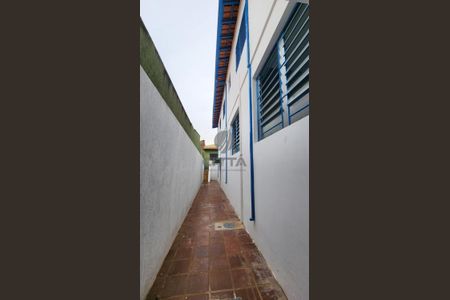 4_photo/94c8c85e25.72b299ddc7bc3168-ATLAS-dd978b35-407e-467b-8dff-5403d6694ae2.jpg de casa para alugar com 6 quartos, 383m² em Jardim Pauliceia, Campinas
