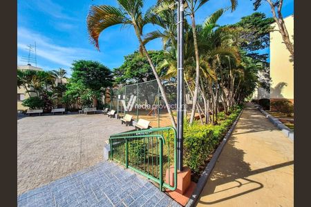 3_photo/94c8c864d5.04a823dc9d4d949a-ATLAS-204b31d1-cce1-44f5-9ca2-10d481096bd1.jpg de apartamento para alugar com 3 quartos, 63m² em Jardim Garcia, Campinas