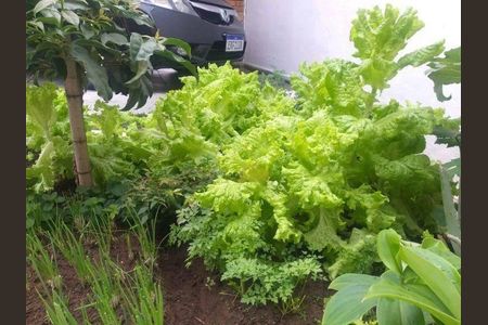 7_photo/94c8c86ec3.ceff8192393c33de-ATLAS-457b2eb3-8ce1-4f17-8ec2-8102fd97b52e.jpg de casa à venda com 2 quartos, 90m² em Jardim Campos Elíseos, Campinas