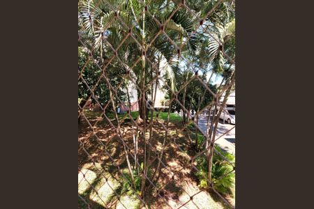 15_photo/94c8c87ad1.561dcad3d0cedf12-ATLAS-d53d874d-1606-4f7a-a2b6-2864d6bf6d5f.jpg de apartamento para alugar com 2 quartos, 54m² em Jardim Garcia, Campinas