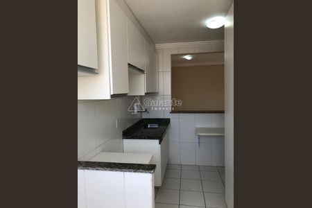 9_photo/94c8c87f5b.9eb8eb5c32f6e867-ATLAS-01dd82b0-13f9-4d77-bf9b-b2b2b71b1577.jpg de apartamento para alugar com 2 quartos, 57m² em Jardim Aurelia, Campinas