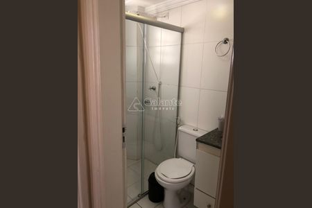 7_photo/94c8c87f5b.9eb8eb5c32f6e867-ATLAS-746e3bc1-e982-4605-aef8-68c68ef8e2ee.jpg de apartamento para alugar com 2 quartos, 57m² em Jardim Aurelia, Campinas