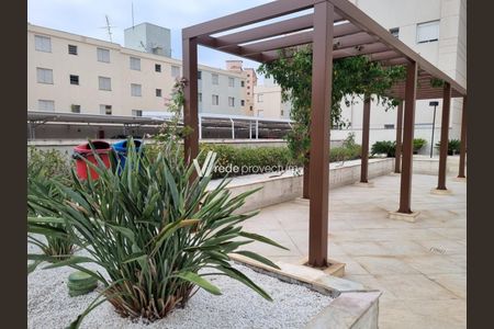 28_photo/94c8c88129.11b1abde6321c10a-ATLAS-9b3af7b2-1865-42a3-948b-d724eba6dc5f.jpg de apartamento para alugar com 2 quartos, 65m² em Vila Prost de Souza, Campinas