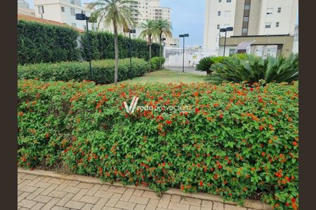 4_photo/94c8c88129.40d9156f2e18fdd4-ATLAS-11198bcd-a9d8-42e5-addd-9182badf5ebb.jpg de apartamento para alugar com 2 quartos, 64m² em Vila Prost de Souza, Campinas