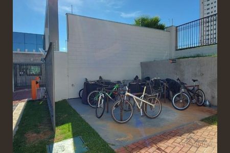 12_photo/94c8c89303.23bcefaf3a78a43e-ATLAS-36bc10d7-3802-48a0-96dd-c75da4e78ba3.jpg de apartamento para alugar com 2 quartos, 43m² em Fundacao da Casa Popular, Campinas