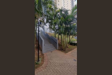 16_photo/94c8c895ad.b7a28b76476596d7-ATLAS-1ae9c214-57f5-41b2-b9a0-9be80c445d23.jpg de apartamento para alugar com 2 quartos, 48m² em Vila Satúrnia, Campinas