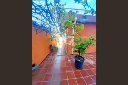 6_photo/94c8c895b5.1b71d68f7c24542f-ATLAS-3001b528-9593-4cd7-956e-8785ef0e5376.jpg de casa para alugar com 3 quartos, 253m² em Parque Industrial, Campinas