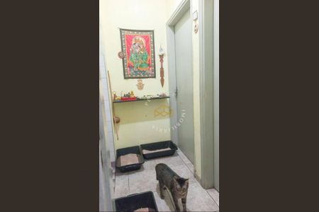 5_photo/94c8c896c1.5564e16b2c01dcfa-ATLAS-c8d58fe8-191b-4254-a791-370f456da72e.jpg de casa à venda com 3 quartos, 90m² em Vila Industrial (Campinas), Campinas