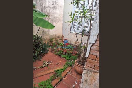 3_photo/94c8c89fed.8c2ca795ebaebe51-ATLAS-02d65a57-e90c-4335-8799-774be0d0bd1b.jpg de casa à venda com 2 quartos, 146m² em Bonfim, Campinas