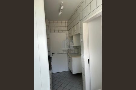 12_photo/94c8c8a06b.b63fb19834d8465e-ATLAS-c4984ddc-3d8d-4713-9ad6-2c7e4f53504d.jpg de apartamento para alugar com 2 quartos, 60m² em Vila Rossi Borghi e Siqueira, Campinas