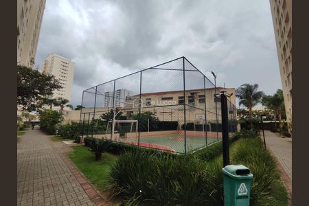 9_photo/94c8c8a20f.2566ee9859577ac7-ATLAS-ccc2bba4-0391-4094-a01f-7f297dc951db.jpg de apartamento para alugar com 3 quartos, 65m² em Bonfim, Campinas