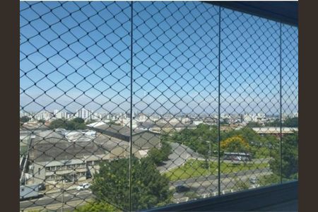 11_photo/94c8c8a255.598c66e7e5047e83-ATLAS-970d9365-39c8-49af-a57d-55ddab954b66.jpg de apartamento para alugar com 2 quartos, 94m² em Botafogo, Campinas