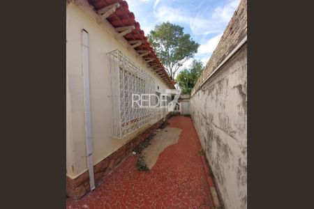 29_photo/94c8c8a3df.f9fd596f8c1c84e9-ATLAS-eab6e919-45ae-4c26-a739-929d1cfe5af4.jpg de casa para alugar com 3 quartos, 152m² em Botafogo, Campinas