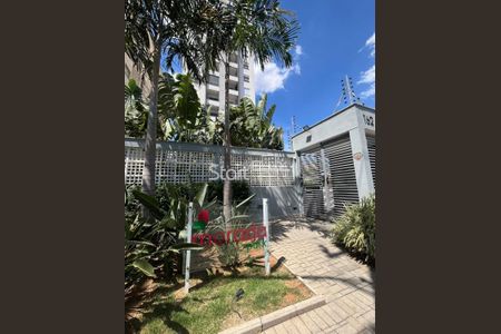 8_photo/94c8c8aa7d.73fb3a2e97d84ede-ATLAS-c3e9c971-49da-45ff-9aa7-2be8d6979a91.jpg de apartamento para alugar com 2 quartos, 56m² em Vila Itapura, Campinas