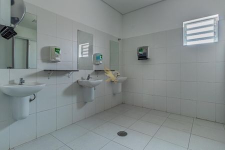 19_photo/94c8c8b45b.adbb37f92a381176-ATLAS-f097e324-01cb-48c0-add4-dbb782e32dad.jpg de casa para alugar com 0 quarto, 560m² em Conceicao, Campinas