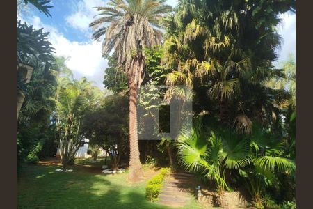 75_photo/94c8c8b71b.a35e4faf2cebf487-ATLAS-0870d4a1-c8b7-4730-9705-7dab8e4a7d01.jpg de casa para alugar com 6 quartos, 480m² em Centro, Campinas