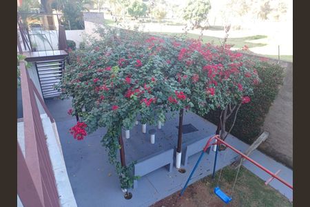 4_photo/94c8c8bf43.f95dcbd9de0a144c-ATLAS-2f73f7ce-6ef7-48c6-8560-574455ee39d6.jpg de apartamento para alugar com 2 quartos, 60m² em Vila Industrial (Campinas), Campinas