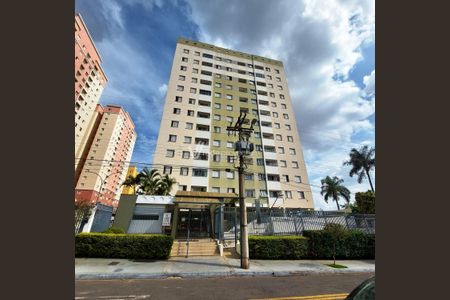 8_photo/94c8c8c58b.a9a8bbe508220e9e-ATLAS-10a72e92-2da3-4f44-bacf-c7411c3e4f19.jpg de apartamento para alugar com 2 quartos, 65m² em Parque Italia, Campinas