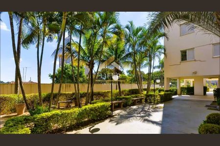 6_photo/94c8c8c58d.6d966f5fb5582f4e-ATLAS-17ebc694-126b-4849-bf56-918bdd1e0fde.jpg de apartamento para alugar com 3 quartos, 65m² em Parque Italia, Campinas