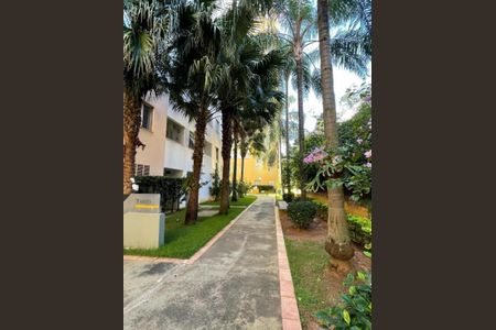 1_photo/94c8c8c59d.4d8dd8d1671a6c37-ATLAS-02e27490-a0bb-486a-b0a4-a4dcd4d8eb12.jpg de apartamento para alugar com 2 quartos, 55m² em Jardim Dom Vieira, Campinas