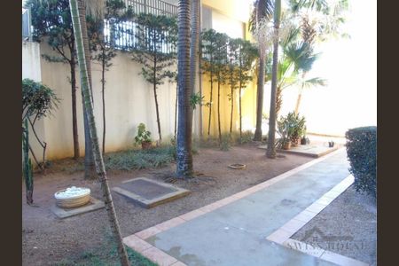 9_photo/94c8c8c59d.4d8dd8d1671a6c37-ATLAS-415cc5b7-e1a9-48c2-b89f-46deb793b8dd.jpg de apartamento para alugar com 2 quartos, 55m² em Jardim Dom Vieira, Campinas