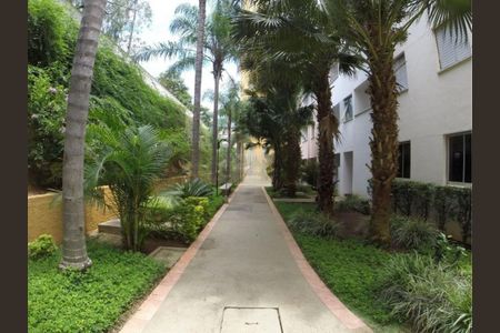 24_photo/94c8c8c59d.4d8dd8d1671a6c37-ATLAS-630713a6-2b99-4c13-9fcc-07ee57c7d408.jpg de apartamento para alugar com 2 quartos, 55m² em Jardim Dom Vieira, Campinas