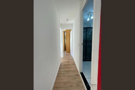 8_photo/94c8c8c59d.4d8dd8d1671a6c37-ATLAS-dd914fde-41bc-43ec-9b06-199c4ac8ebbc.jpg de apartamento para alugar com 2 quartos, 55m² em Jardim Dom Vieira, Campinas