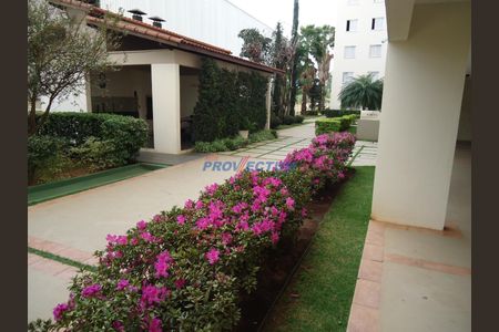 8_photo/94c8c8c59d.6208c30782ab45fe-ATLAS-363e64dd-4b07-47cb-a37f-37169c58efd8.jpg de apartamento à venda com 2 quartos, 48m² em Jardim Dom Vieira, Campinas