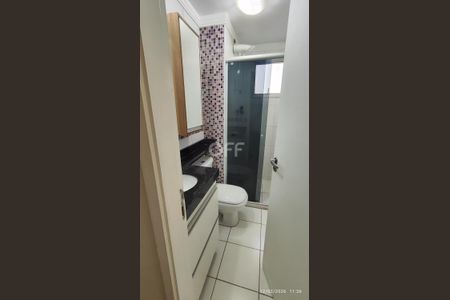 2_photo/94c8c8c89f.ab8e82056aed80fc-ATLAS-11aa47f7-73b0-42a5-8172-5dfef6ebe565.jpg de apartamento para alugar com 2 quartos, 50m² em São Bernardo, Campinas