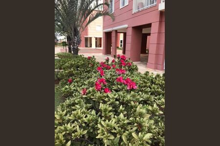 9_photo/94c8c8cf7d.51533e6d93319a6d-ATLAS-98fc7b98-3d34-46e7-a43a-8f6f33593a72.jpg de apartamento à venda com 3 quartos, 60m² em Parque Italia, Campinas