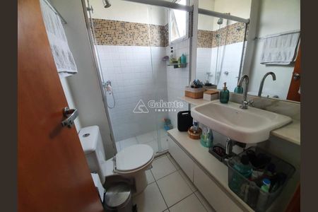 6_photo/94c8c8cfff.1718b0cc559d4db7-ATLAS-5848c28d-095b-45d1-be45-db26a4e8f246.jpg de apartamento para alugar com 2 quartos, 63m² em Jardim Dom Vieira, Campinas