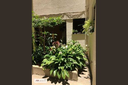 12_photo/94c8c8d781.519b4dae9c5c8f0f-ATLAS-ea63f5a1-02d3-4ab4-9424-9029dfa5d059.jpg de apartamento à venda com 4 quartos, 101m² em Jardim do Trevo, Campinas