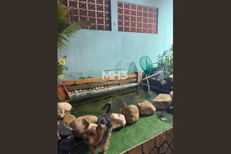 12_photo/94c8c8daef.b0c9be0884e142d1-ATLAS-b0e22efc-795b-452f-9914-73fae48d5407.jpg de casa à venda com 3 quartos, 250m² em São Bernardo, Campinas