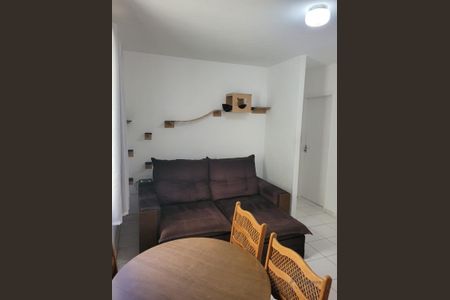 9_photo/94c8c8db05.e29c5a8776c4a4f1-ATLAS-54ea9eec-cbfd-4216-b155-1a60e68d4bcb.jpg de apartamento à venda com 2 quartos, 45m² em São Bernardo, Campinas