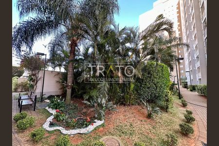 9_photo/94c8c8dd1f.a748d1528e602932-ATLAS-8d6649c8-6a24-4ca8-a027-1e727e1c9d0a.jpg de apartamento para alugar com 3 quartos, 75m² em São Bernardo, Campinas